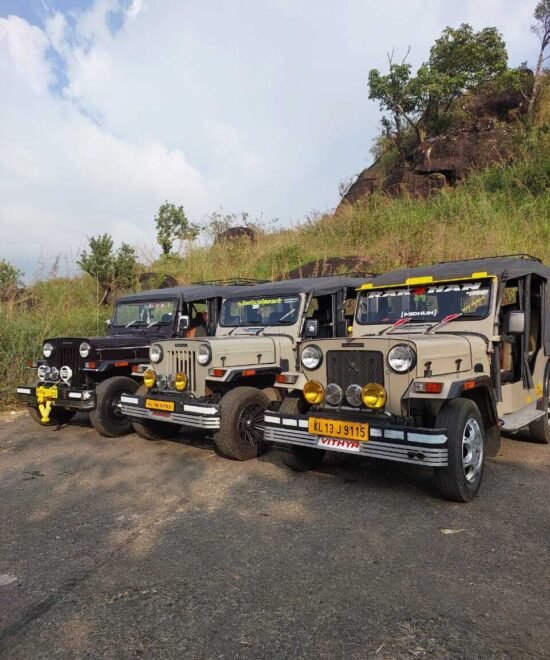 Munnar Jeep Safari