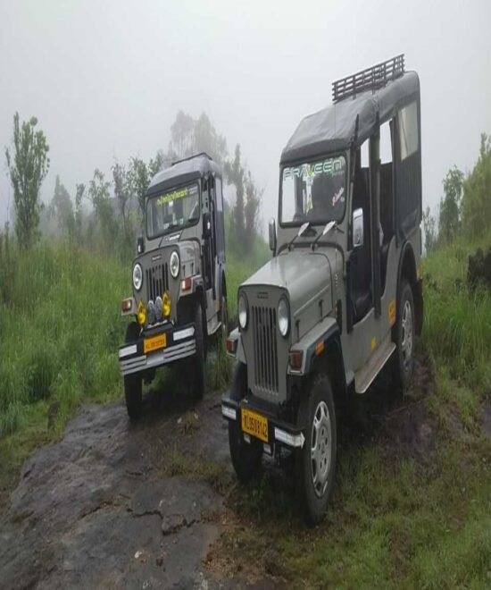 Munnar Jeep Safari