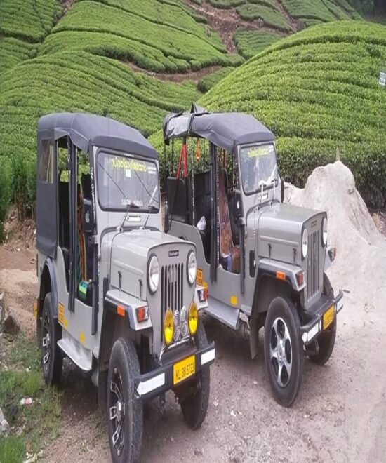 Munnar Jeep Safari