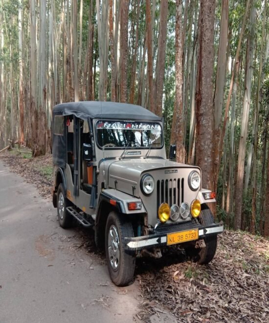 Munnar Jeep Safari