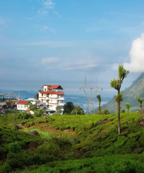 Munnar Jeep Safari