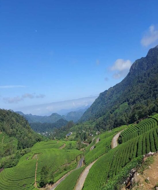 Munnar Jeep Safari