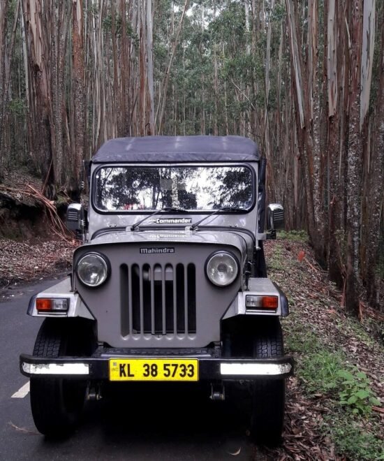 Munnar Jeep Safari