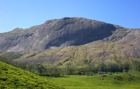 Anamudi peak view munnar