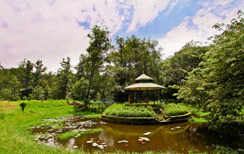 Blossom_park_munnar