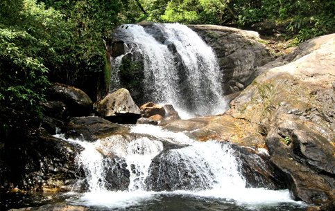 Lakkom-Water-Falls-munnar