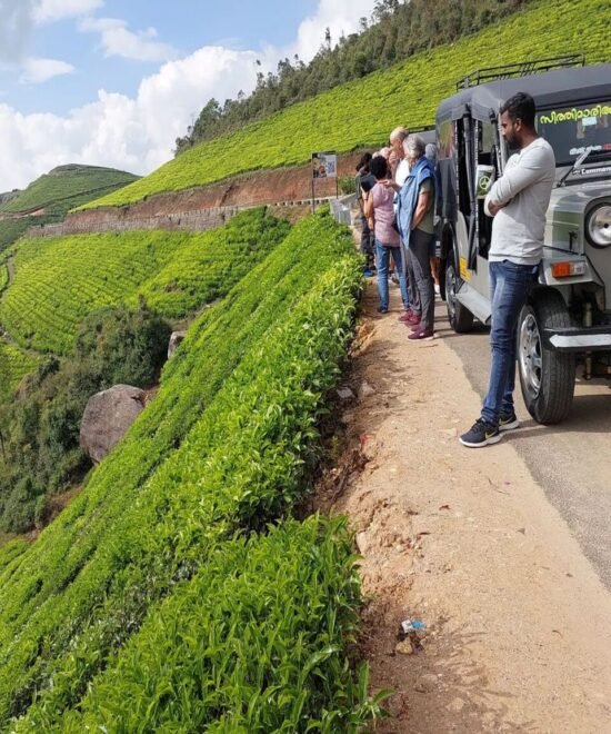 Munnar Jeep Safari