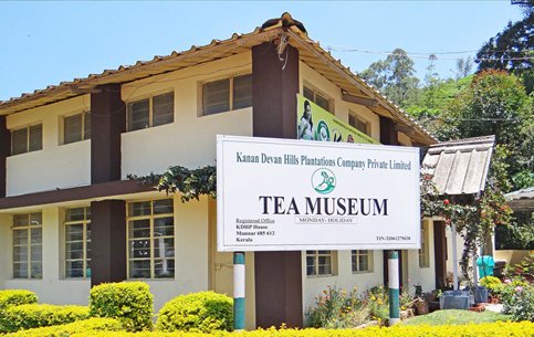 Tea-museum-munnar