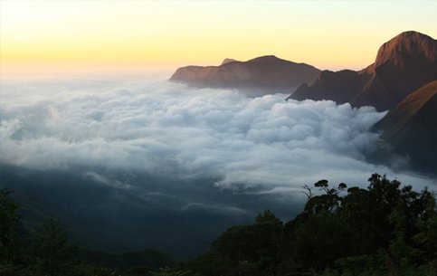 Top-station-munnar