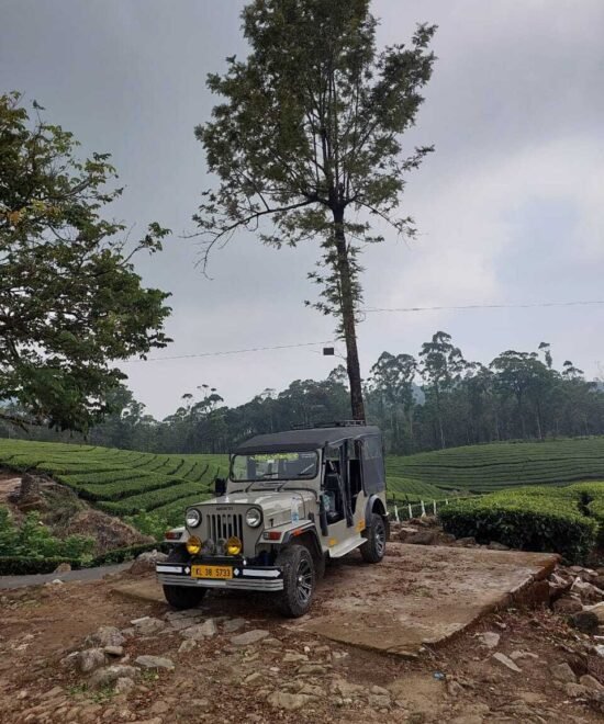 Munnar Jeep Safari