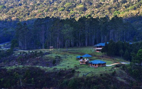 Pambadum-shola-national-park