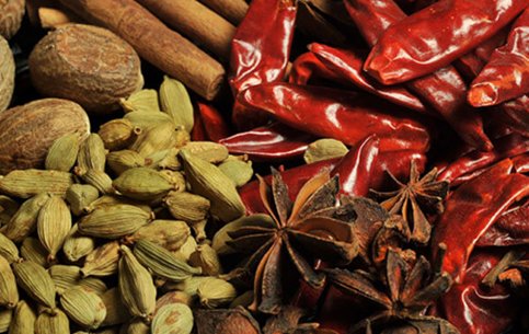 Spices-garden-visit